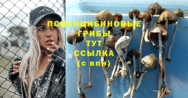 гидра Остров
