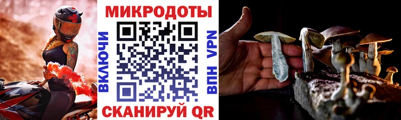 наркотики Кузнецк Галлюциногенные грибы мухоморы